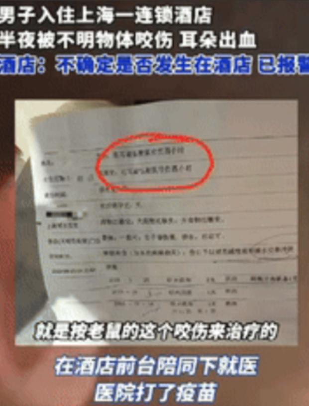 “倒大霉了！”上海一男子半夜在酒店休息时，突然感觉有东西在咬他耳朵，男子猛地张开