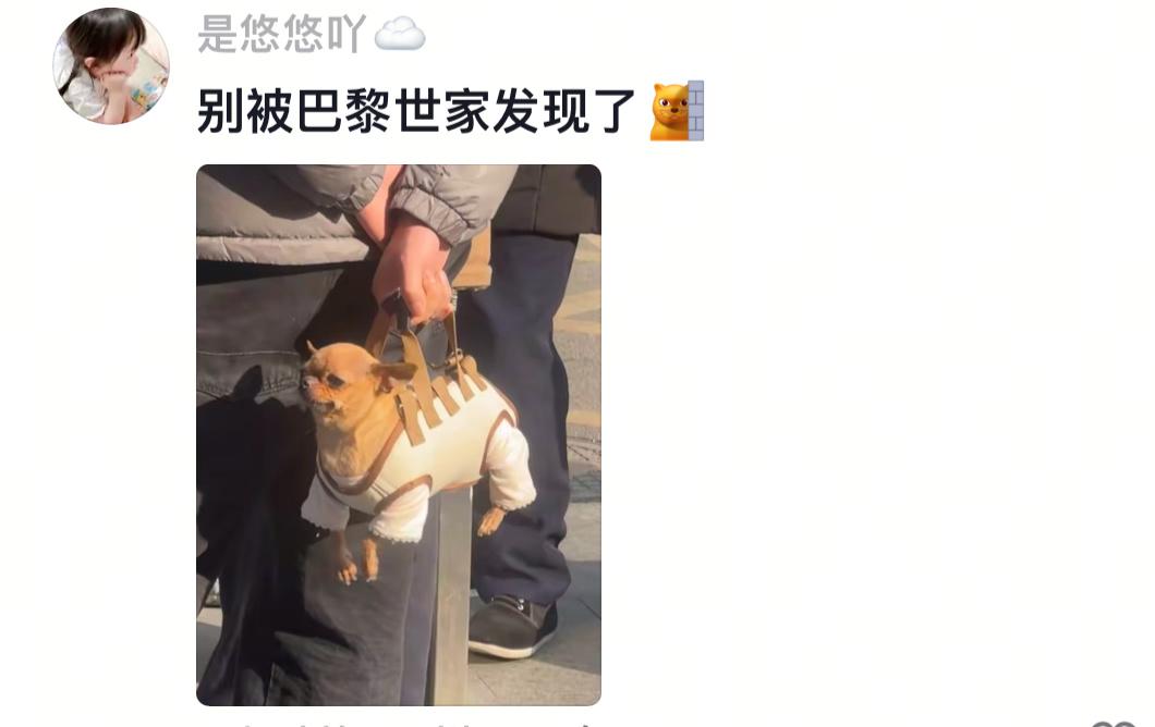 这个包真的好，提累了还会自己跑回去[狗头]