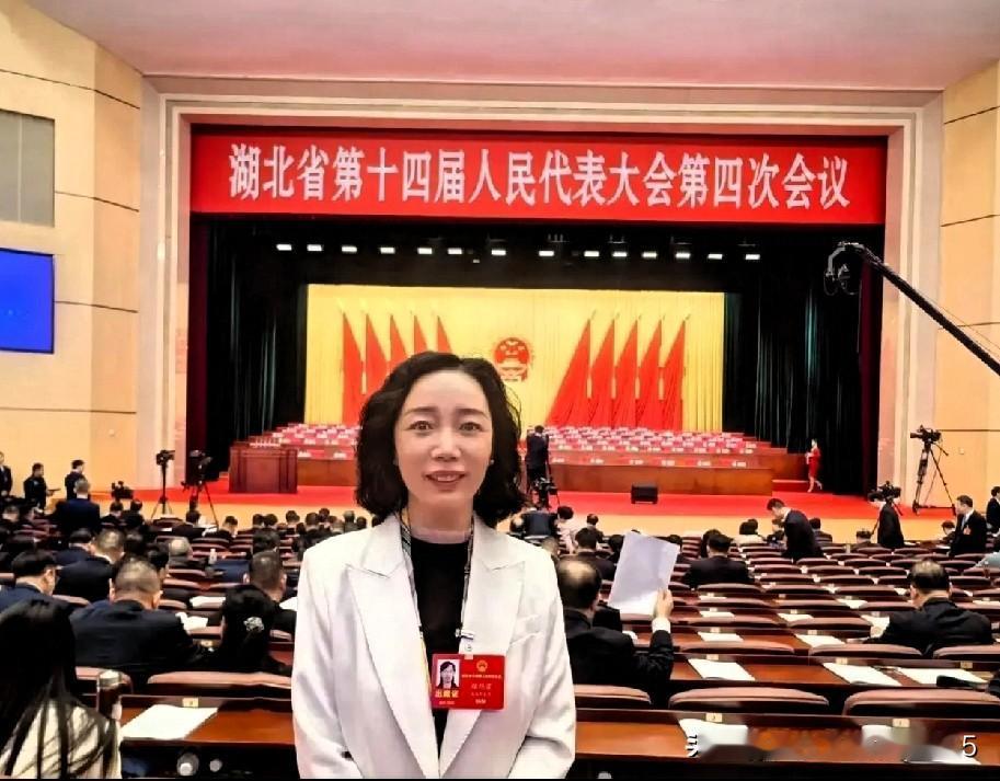 省人大会上的发言让我们看到了湖北高中的一位老师，他提出了一个利用铁路淡季的空闲车