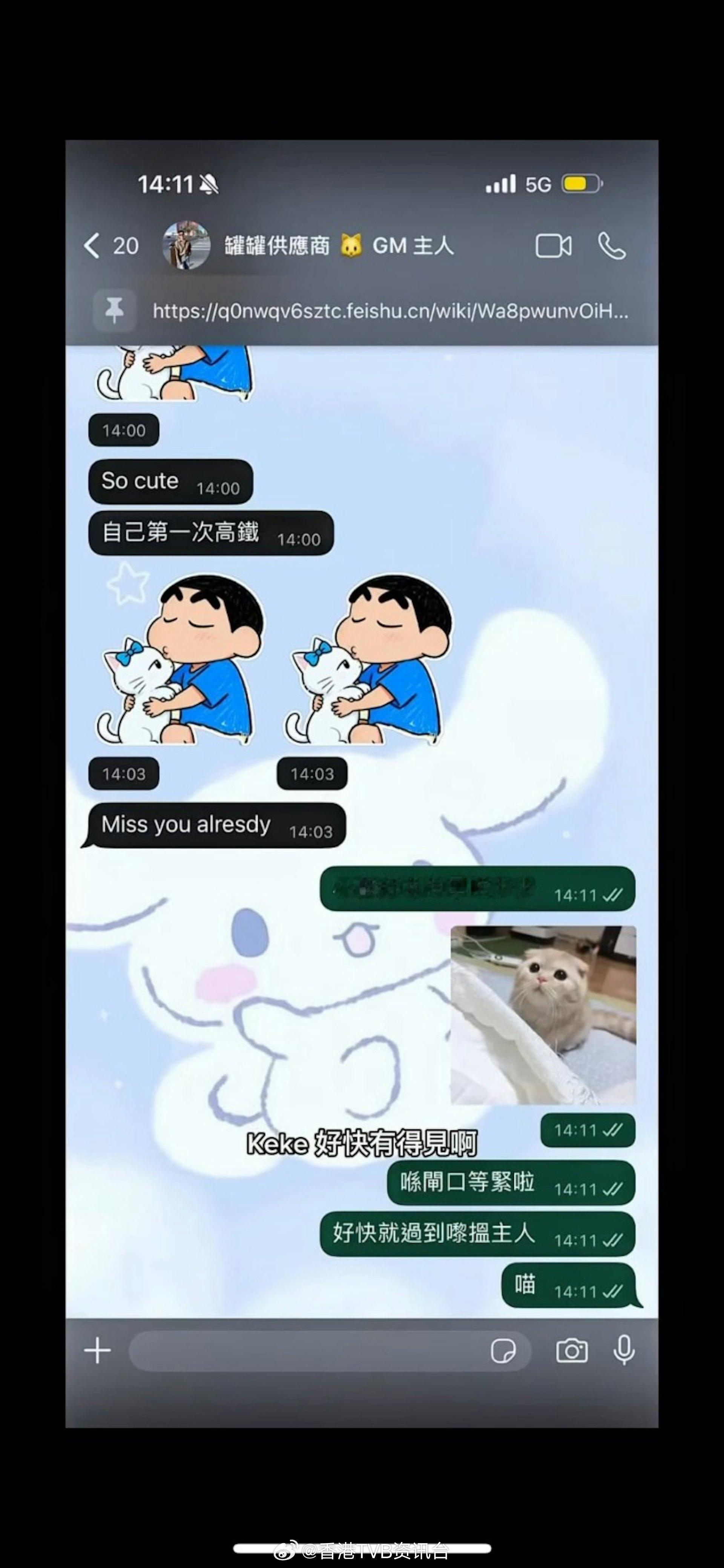 叶蒨文肚凸凸疑有喜懒理“主人小猫”称呼惹负评：我不嬲都Kam凭TVB恋综《女神