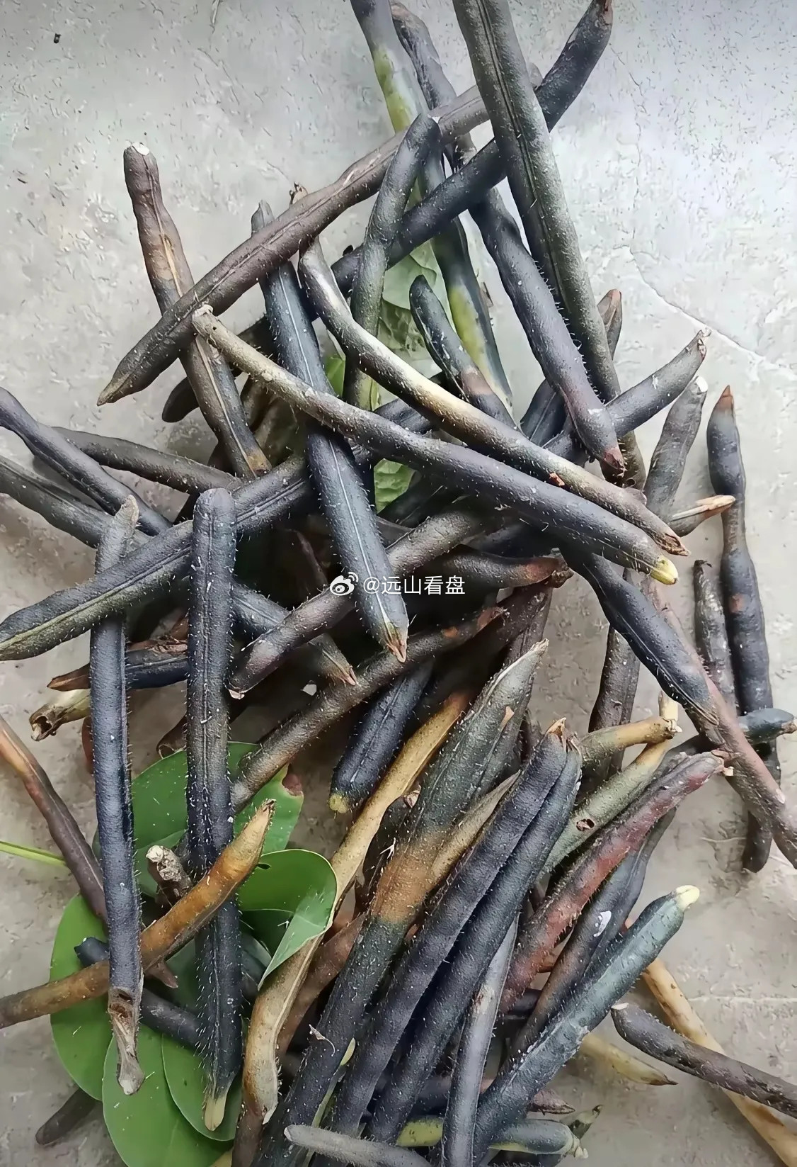 我敢打赌，90%的零零后应该都没有见过这个农作物吧，很多人都吃过，但是它原始的状