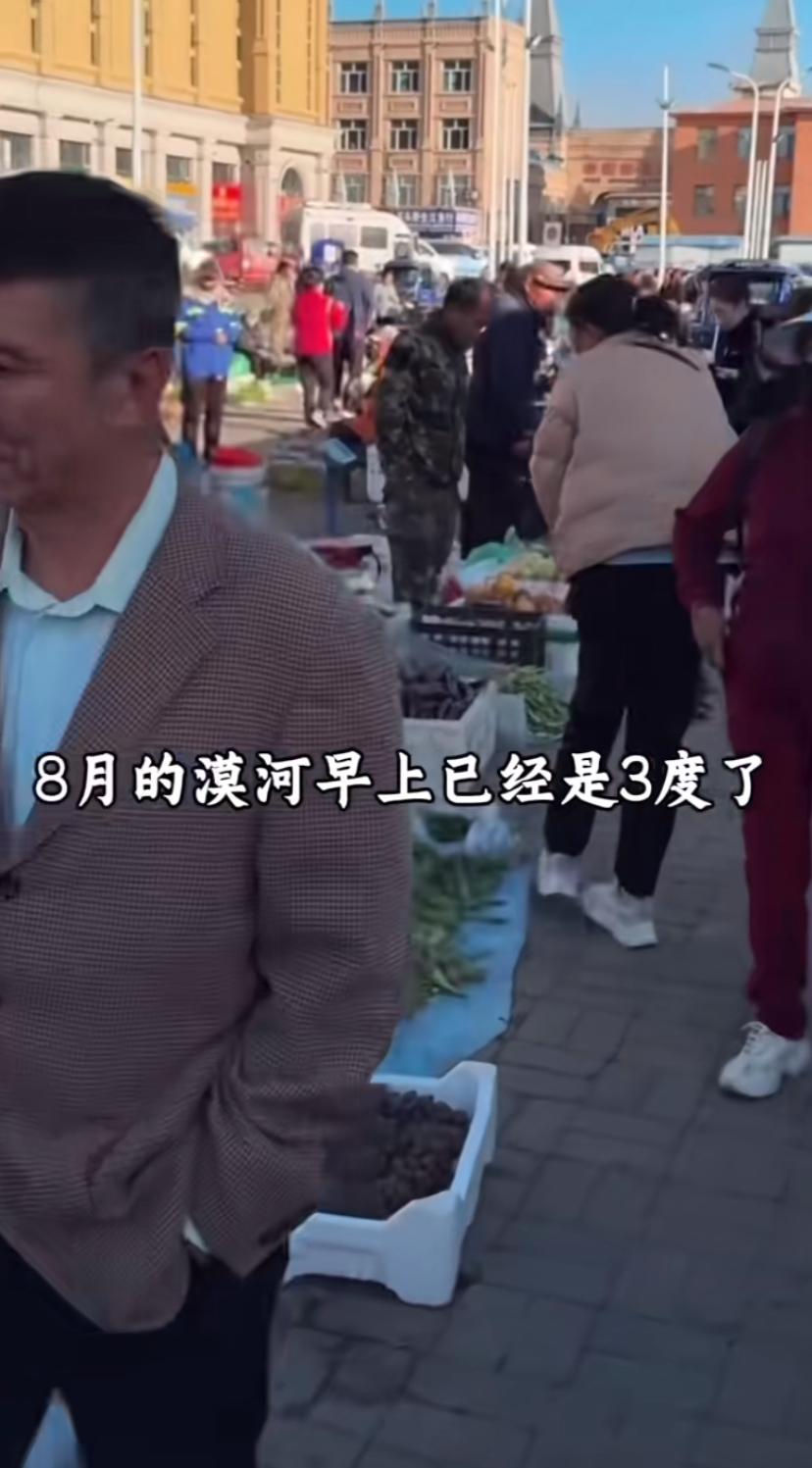 真是冰火两重天啊，内地还在吹空调，漠河人已经穿棉衣了，早上3度。看视频早市人还
