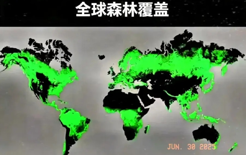 我国最大木材进口国，竟然不是俄罗斯！俄罗斯是我国第二大木材供应国，远不如新西