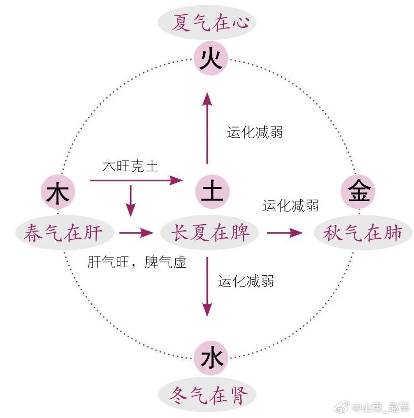 医理解读：气和血，藏着魂和魄一、核心原文释义中医讲：气藏魄，血藏魂。1. 魂归于