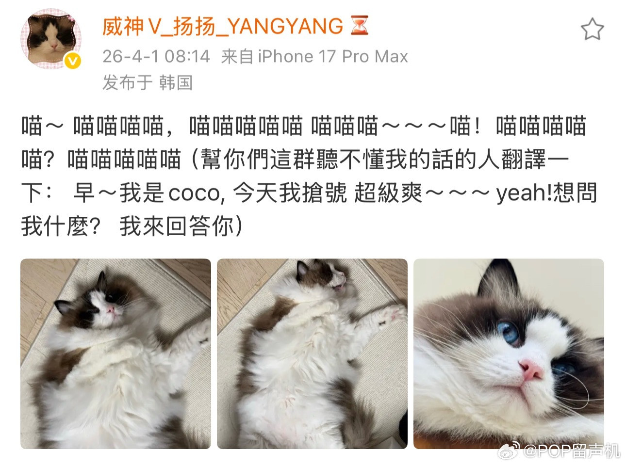 刘扬扬愚人节回复，哈哈哈哈哈太有趣了吧！！