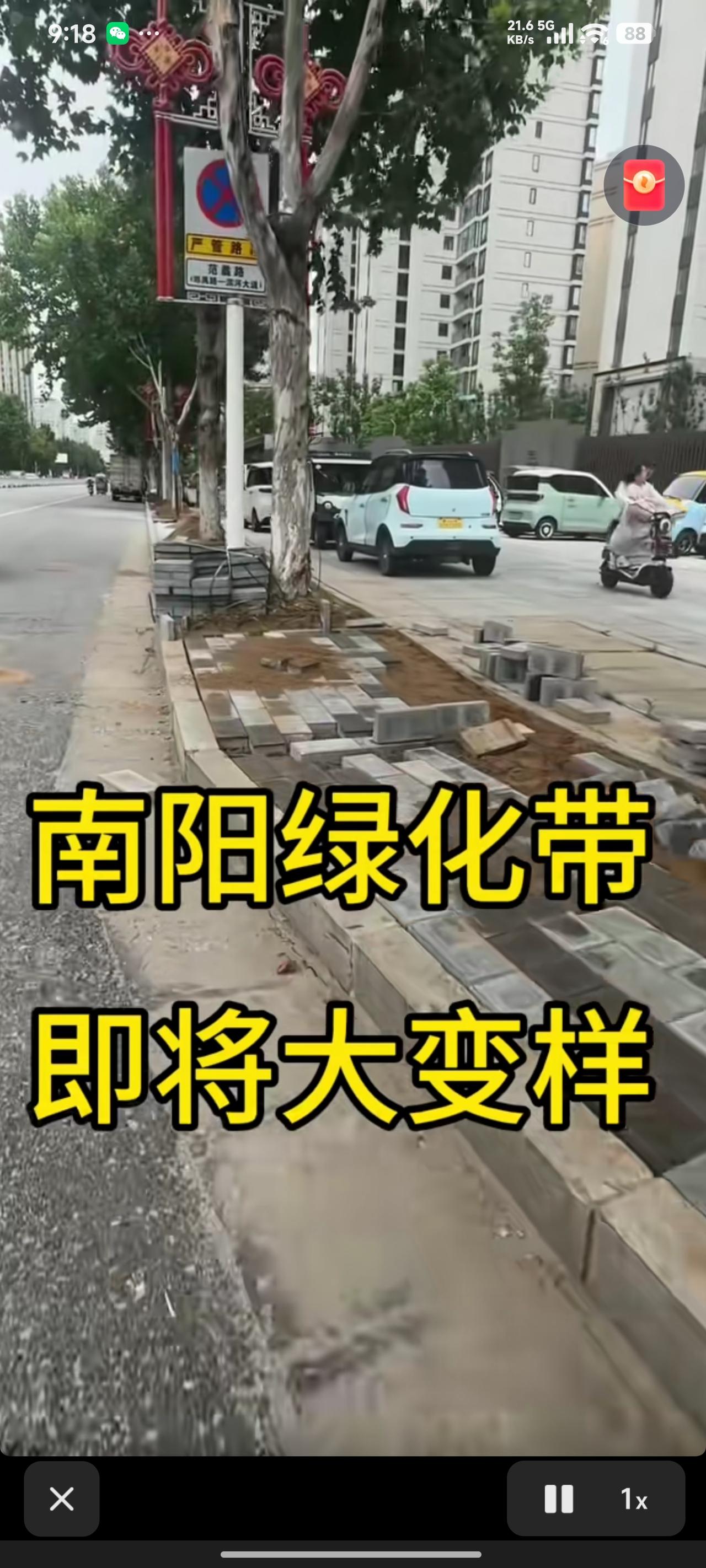 南阳绿化带正在进行改造，建议将行道树中的法国梧桐全部移植。这种树会遮挡路灯，而且