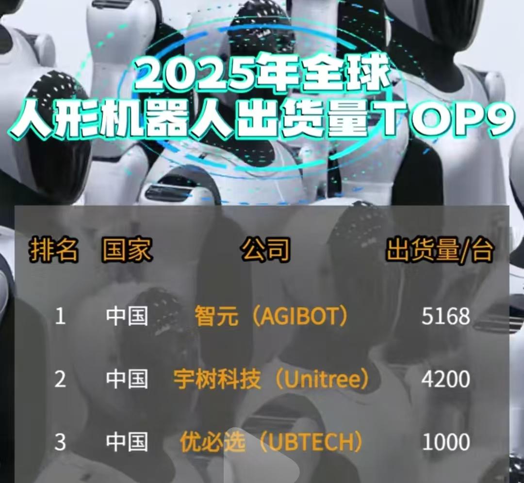 2025年人形机器人出货量排名前5的都是中国的企业，第一名智元，第二名宇树科技，