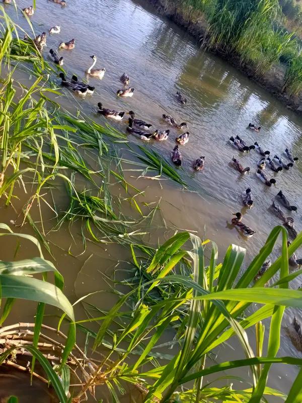 我太懂这种痛苦了！我搞种植养殖八年，没一年赚钱，搭进去300多万，连外贸公司赚的
