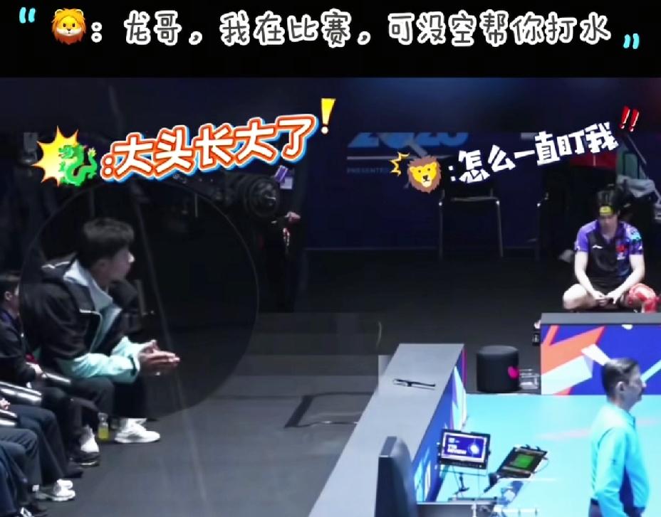 哈哈，笑不活了，龙队一直盯着王楚钦，王楚钦的小眼神也是没谁了，有点像学生上