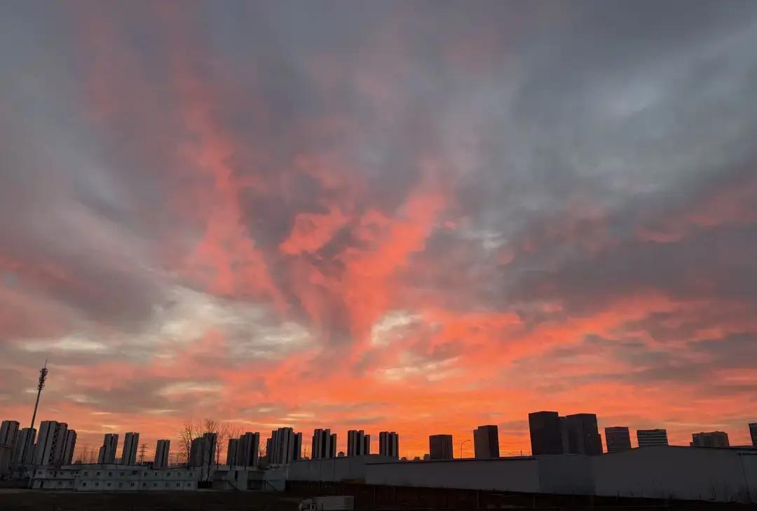 古斯塔沃真来了？海港旧将空降天津！巴西前锋的经纪人已经点头，津门虎把年薪压