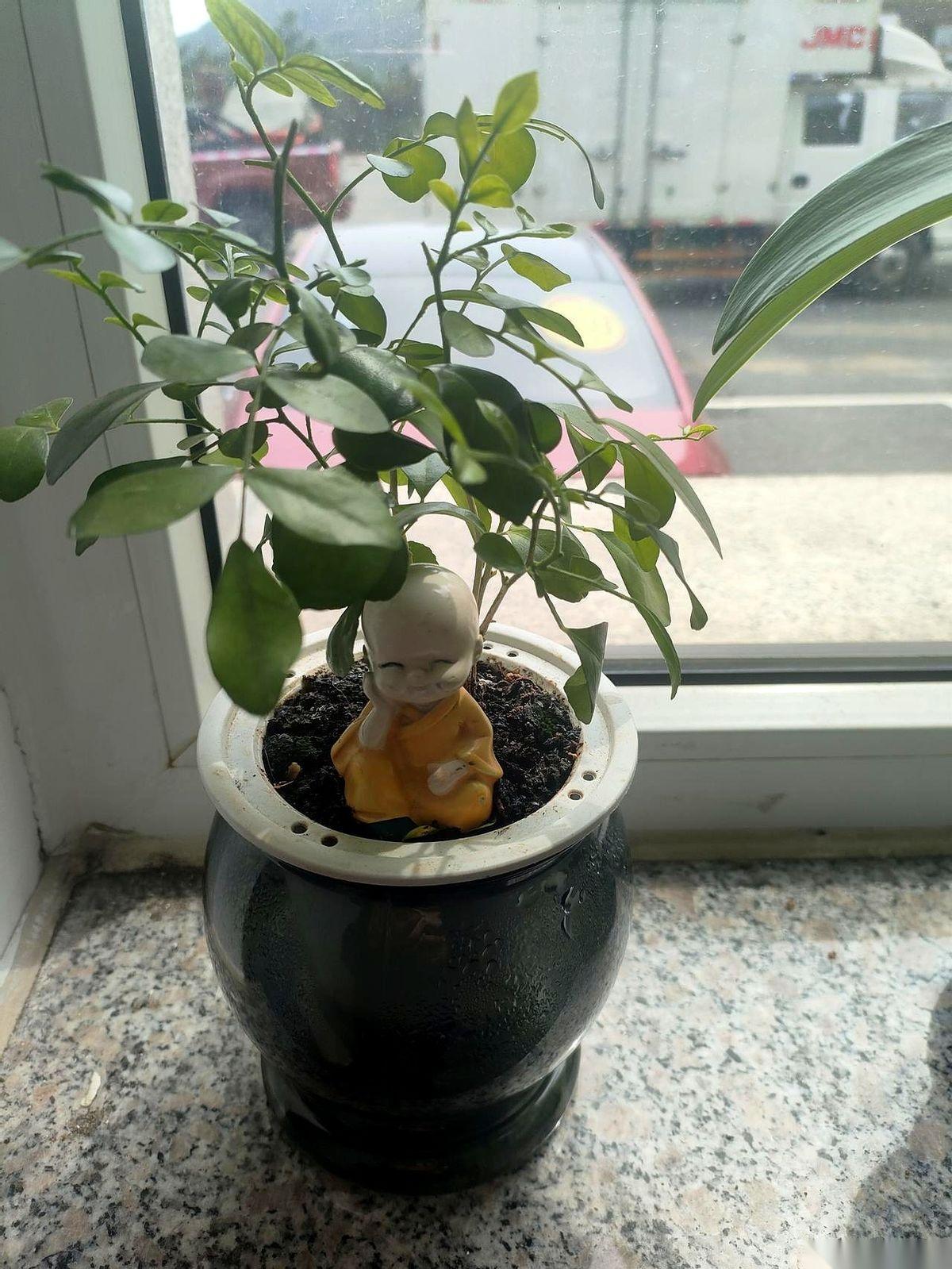 儿子寝室六个人，考研成绩出来那天，屋里一根针掉地上都能听见。六张桌子，四份“谢