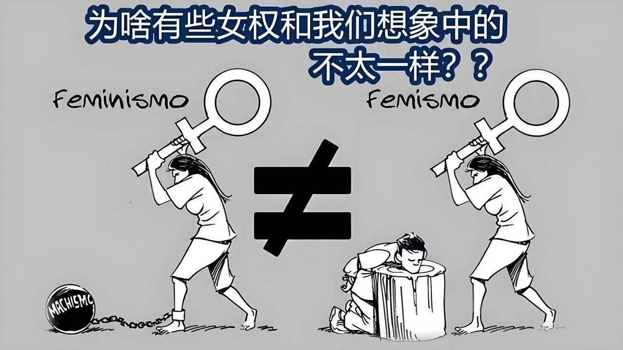 至于某些极端女犬骂你，也不会回怼，给根骨头，教它怎么摇尾巴。时间长了，它就知道摇