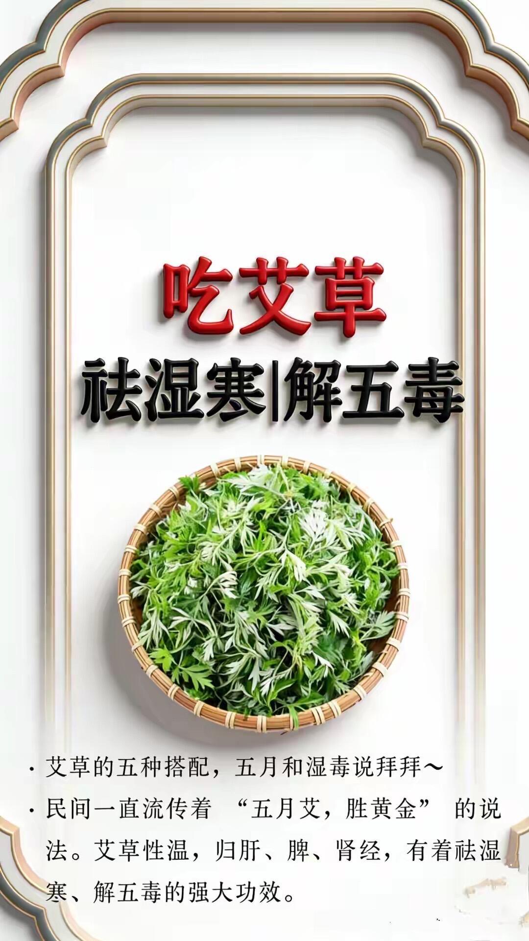 五月艾胜黄金✨艾草养生茶，祛湿寒还养人国医的精诚力量