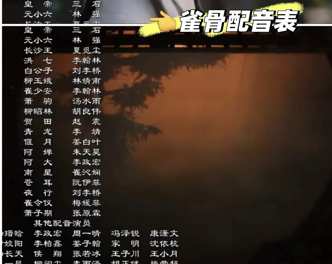 我好像发现了一个不得了的大秘密这个配音表里面居然有阿大他会说话居然！！！