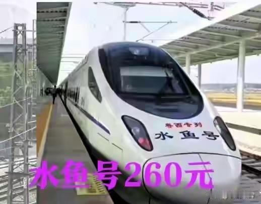 为什么广东各地长途大巴又开始兴旺了?因为再也不用坐水鱼号了网友评论：这是好