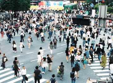 日本政坛马上要上演一出“过河拆桥”的大戏。高市早苗，这个靠啃安倍老本上位的“光杆
