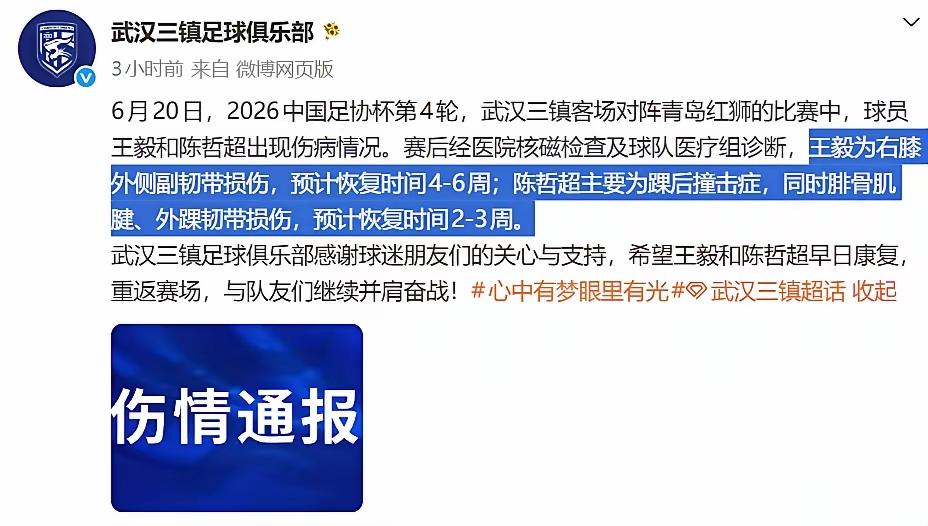 武汉三镇有点像捡了芝麻丢了西瓜！一场与乙级球队没什么价值的足协杯赛，拼尽主力（本