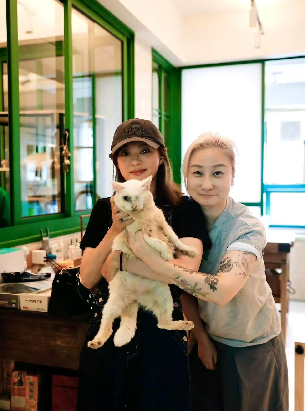 孙俪去看望自己曾经救助的流浪猫，抱着猫猫暖心合照，发文呼吁领养代替购买，让爱不再