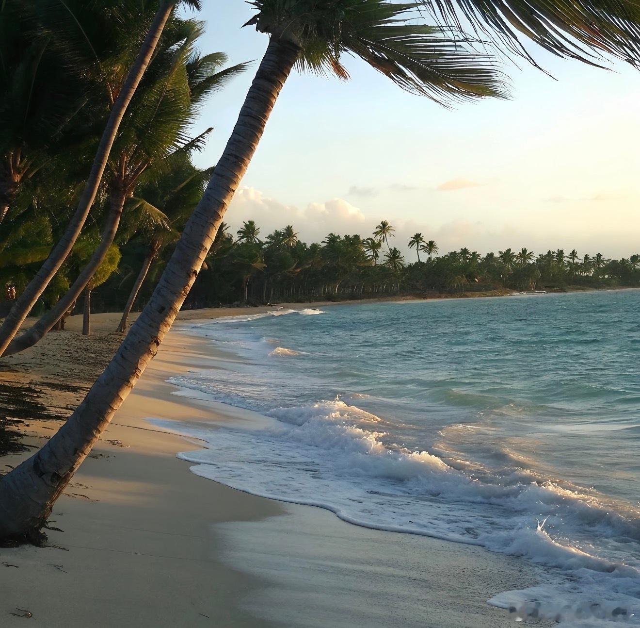 第一次见旅游反向回血的奔赴海边吹风看浪，本以为出游要大把花销，不料福利加持省钱又