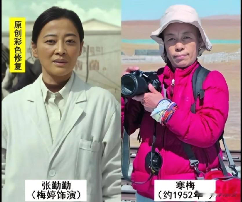 《生命树》张勤勤的原型，就是在高原上守了一辈子的女医生寒梅。剧里的张勤勤，