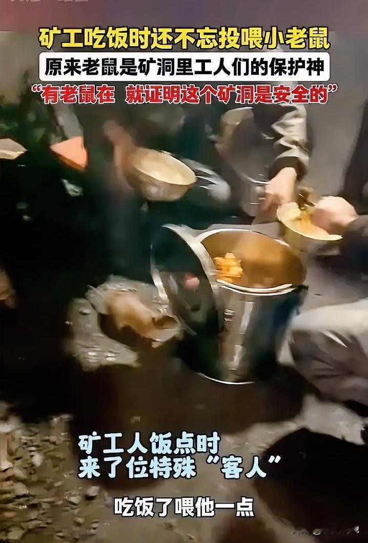 地下几百来米，人人喊打的