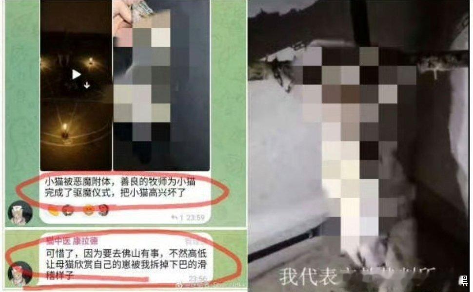 真恶鬼在人间😈👿👻💀👽👹👺☠虐猫的没活着了