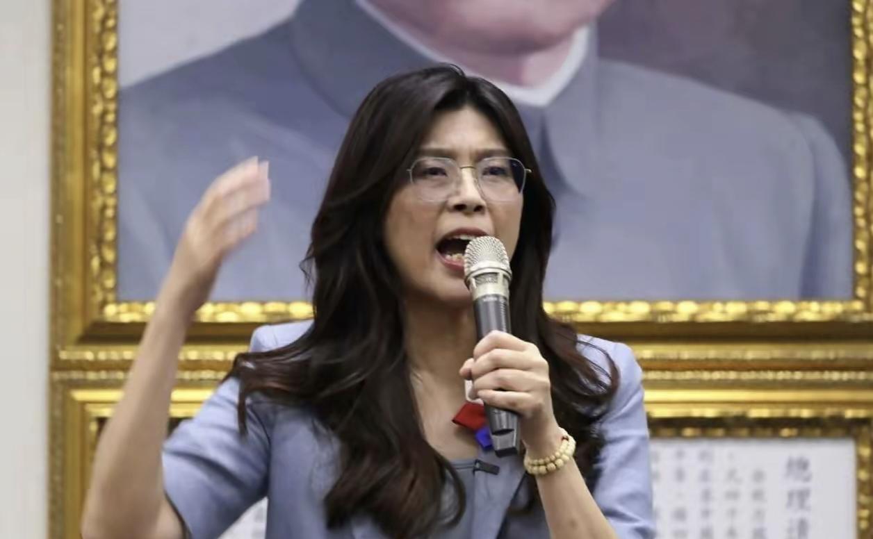 国民党不应该强制动员国民党党团与国民党的支持者去凯道声援柯文哲！为什么？因为