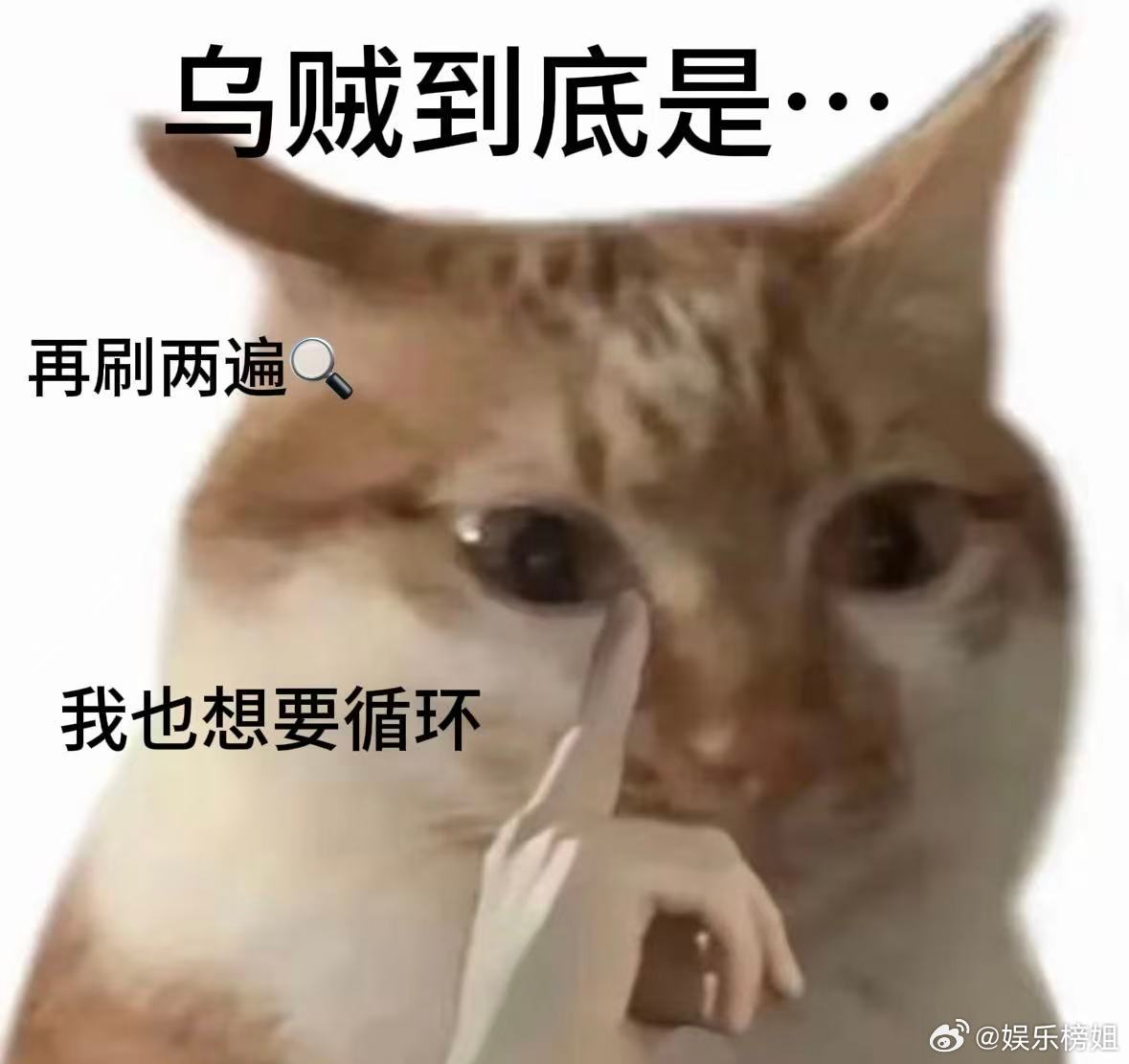 不眠日大结局婉清日记里“世界重复、痛苦加倍”的话太戳人，她要是早经历过循环，那
