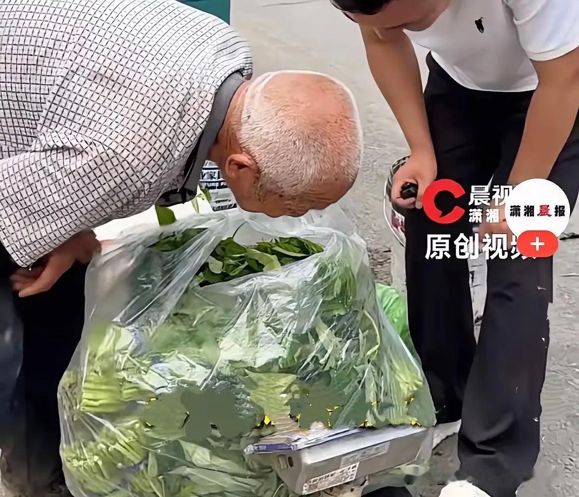 破防了！近日河南登封，一位做助农的博主在街上偶遇81岁高龄的老爷爷，这么大年纪还
