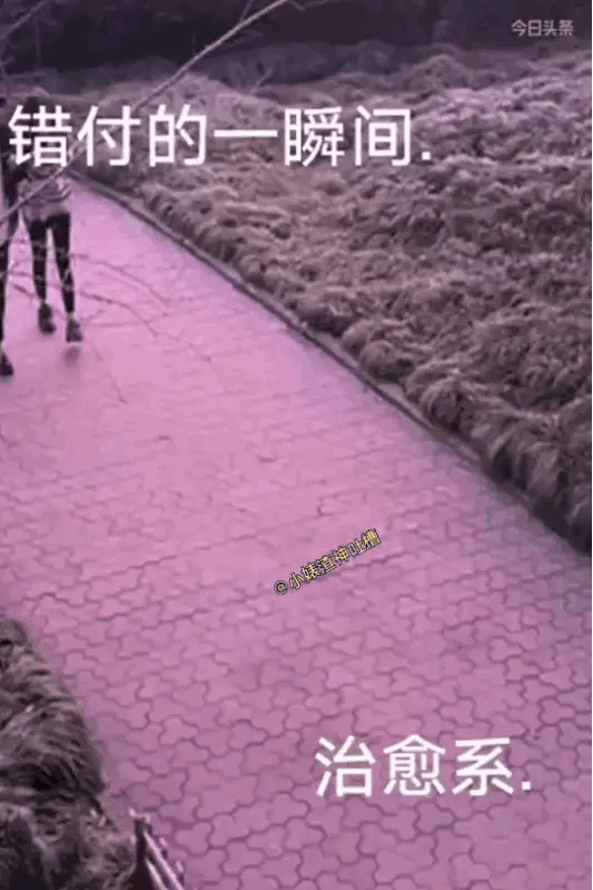 小哥哥干得漂亮。