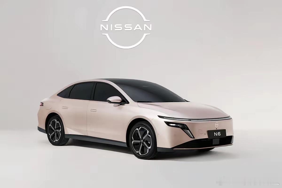 【东风日产N6不充电油耗2.9升，那还充啥电？】东风日产N6刷新一项新的吉尼斯