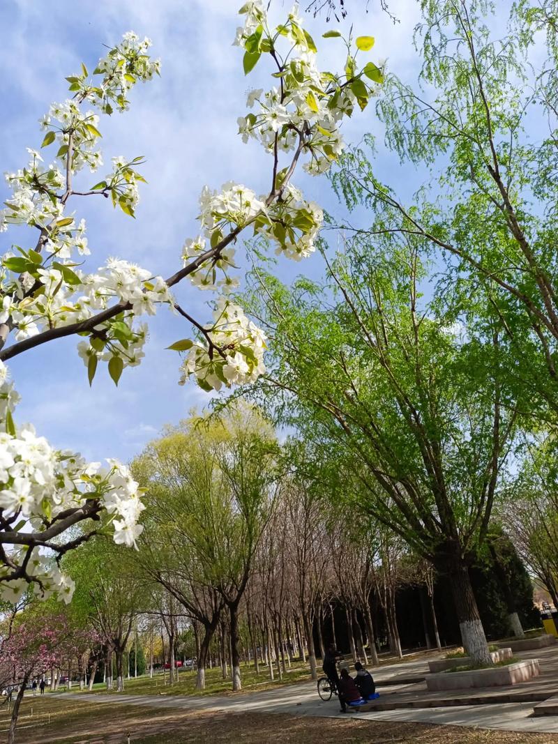 偶尔，会心血来潮，把自己伪装成文艺女青年，冲一杯咖啡，在扑鼻而来浓郁的咖啡