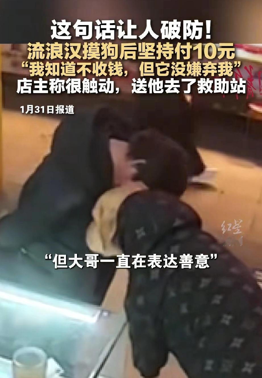 破防了！山西，一位流浪汉温柔抚摸店门口的大黄狗后，却执意要给10元“感谢费”，被