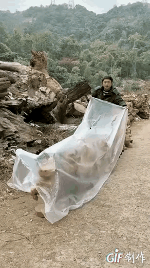 高手在民间，感觉这应该都是用树根做成的，这应该就是根雕艺术，根雕艺术最大的特点，