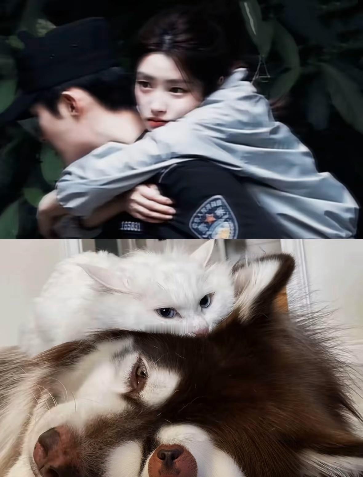 终于找到《明川有知夏》双人路透的这张动物塑拼图高清版📕cr：Bysunflow