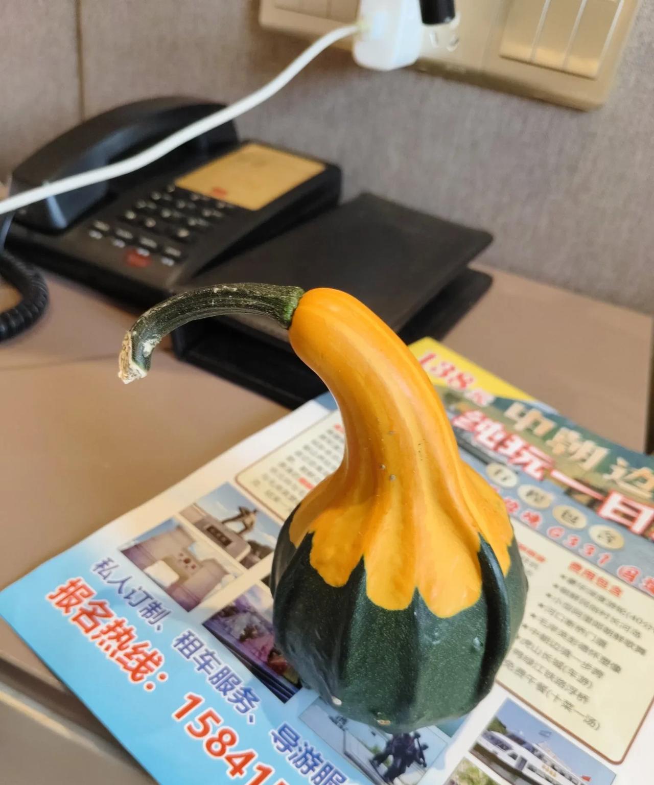 这是什么瓜？丹东国门附近，山区的老百姓自己种植的。平时卖10元一个。下午五点快