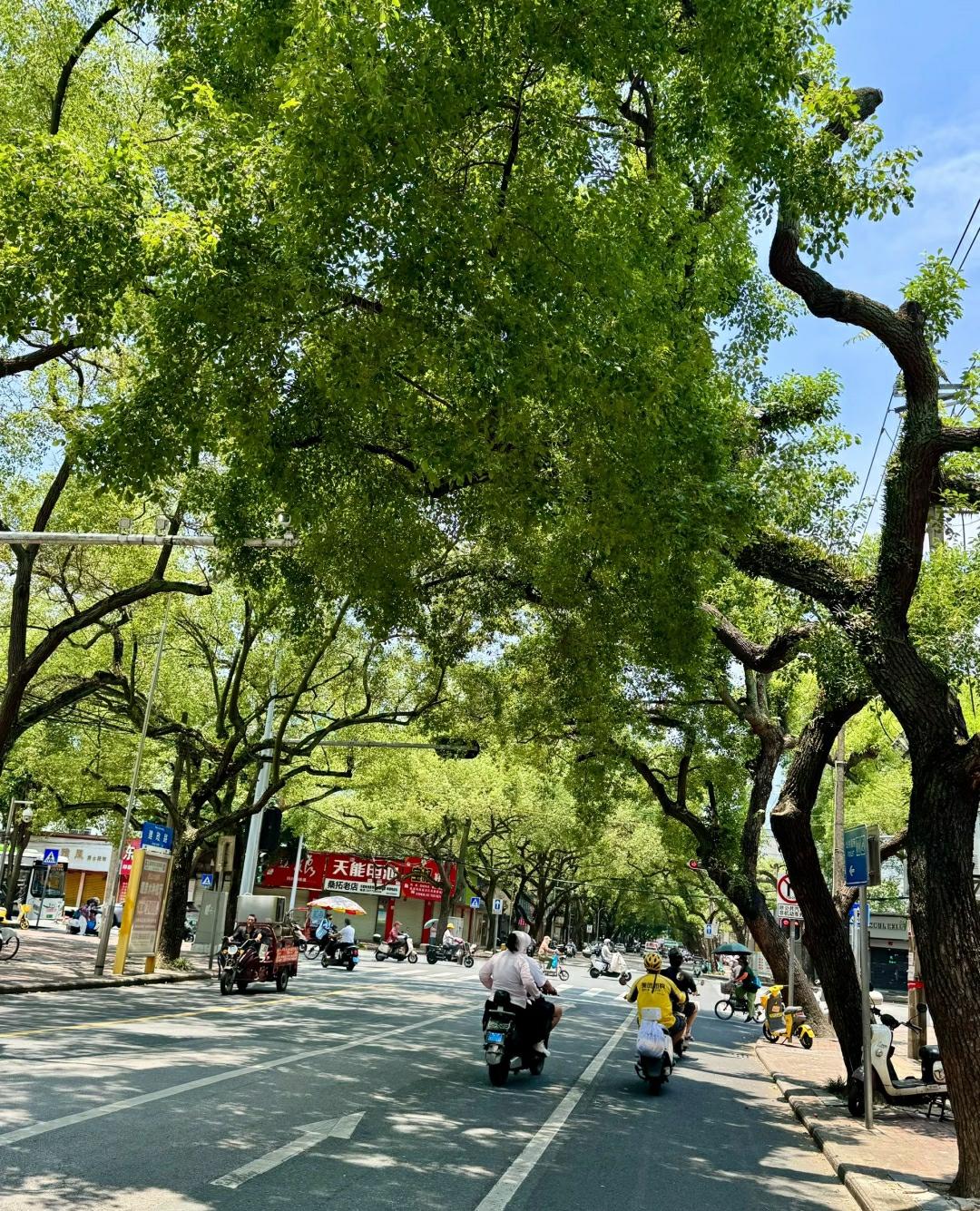 婚姻生活的真相第一：没有绝对幸福。每段婚姻都会有问题，有的可能夫妻感情还不