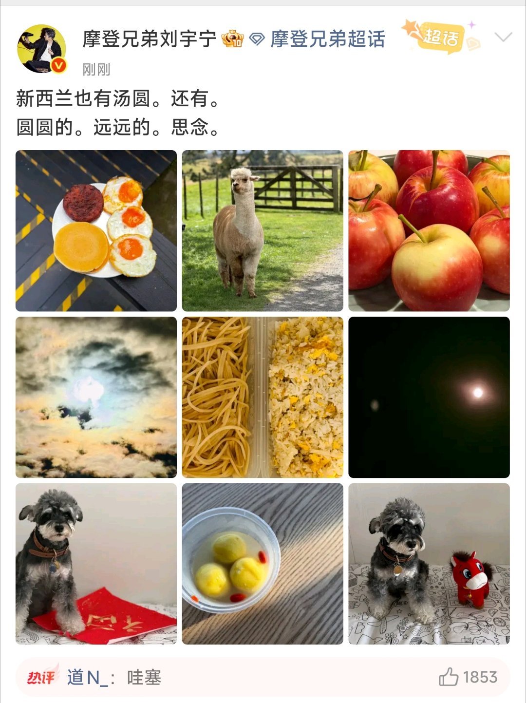 宁哥好会，远远的思念！那这是思念呆米还是思念粉丝啊？——元宵节快乐。