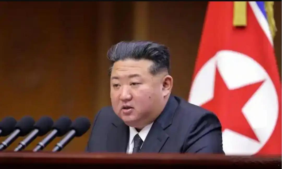 朝鲜凭实力 已经无法改变现状了！ 它已称南韩为“敌对国家”，说明自保才是根本。 