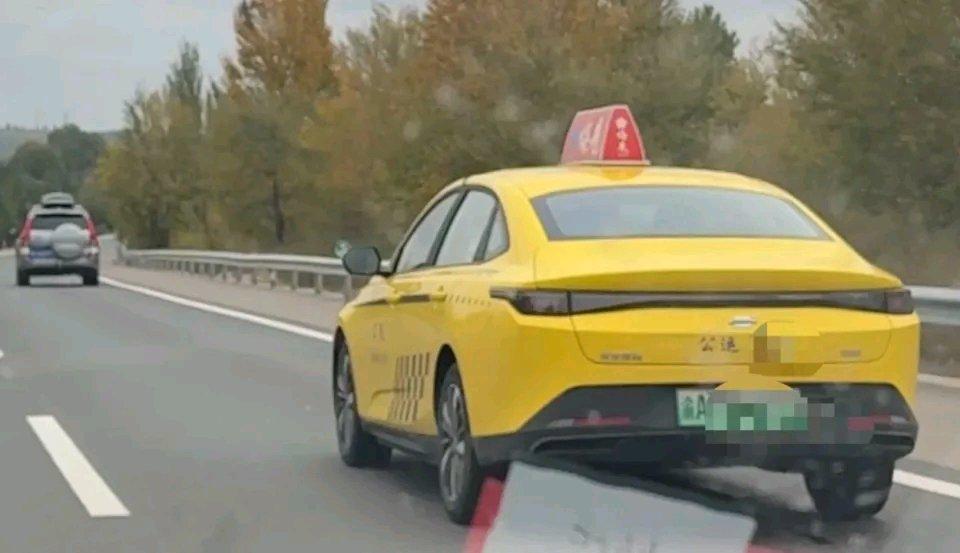 重庆网红“完美婆娘”从重庆打车到内蒙古这事太火了！她有超240万粉丝，视频一出又