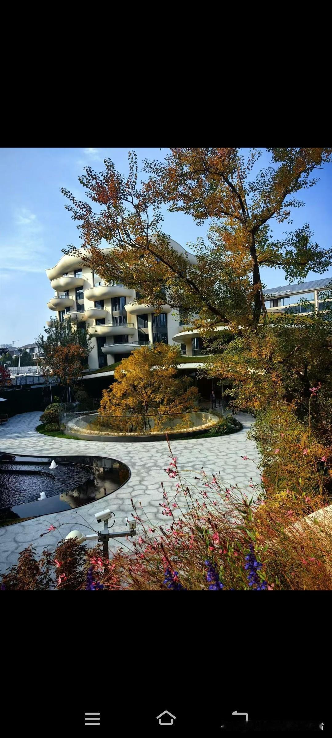 郑州姐姐家小区的秋天，美到让我想定居！今天来郑州姐姐家，一进小区就被这景色