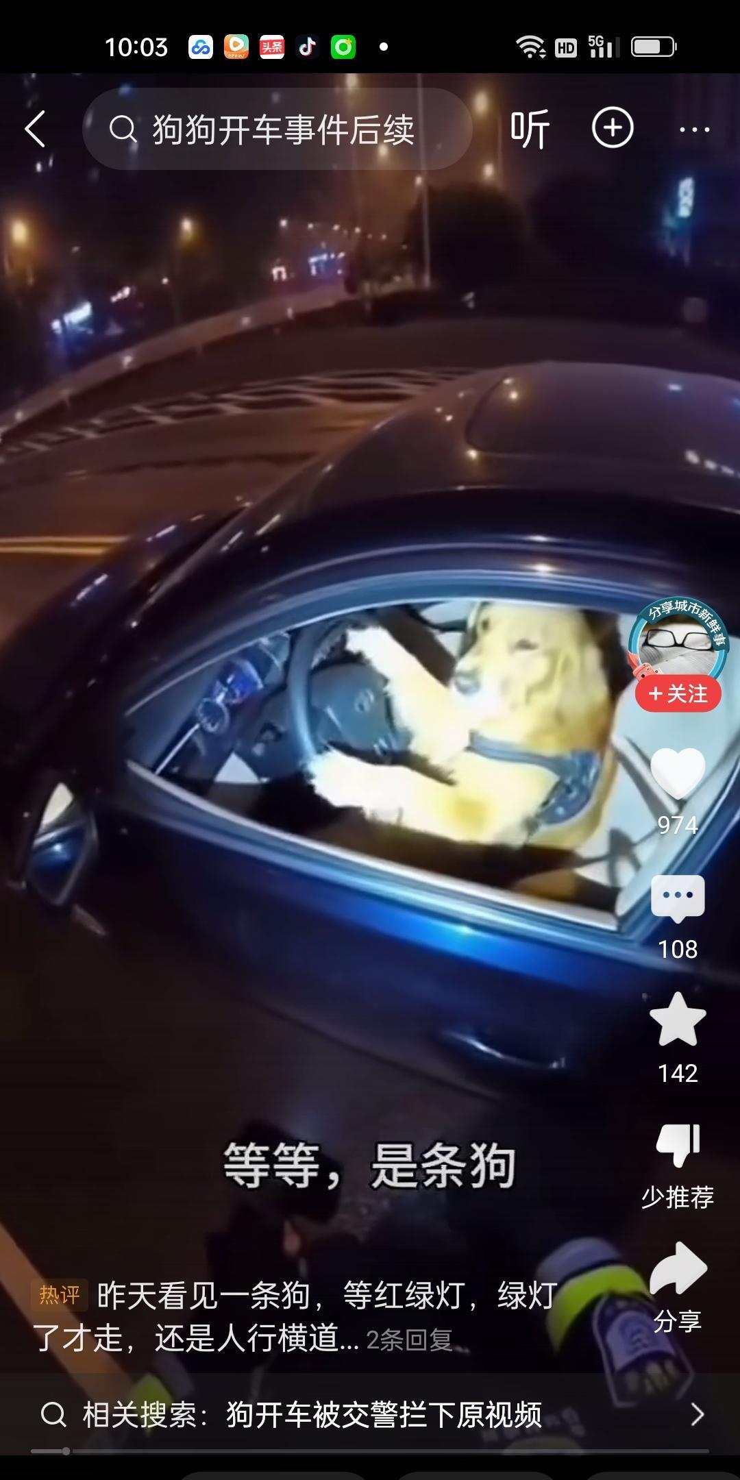 大千世界，无奇不有。狗狗居然把主人的车开出来了。繁华的大街上，帽子叔叔发现狗在把