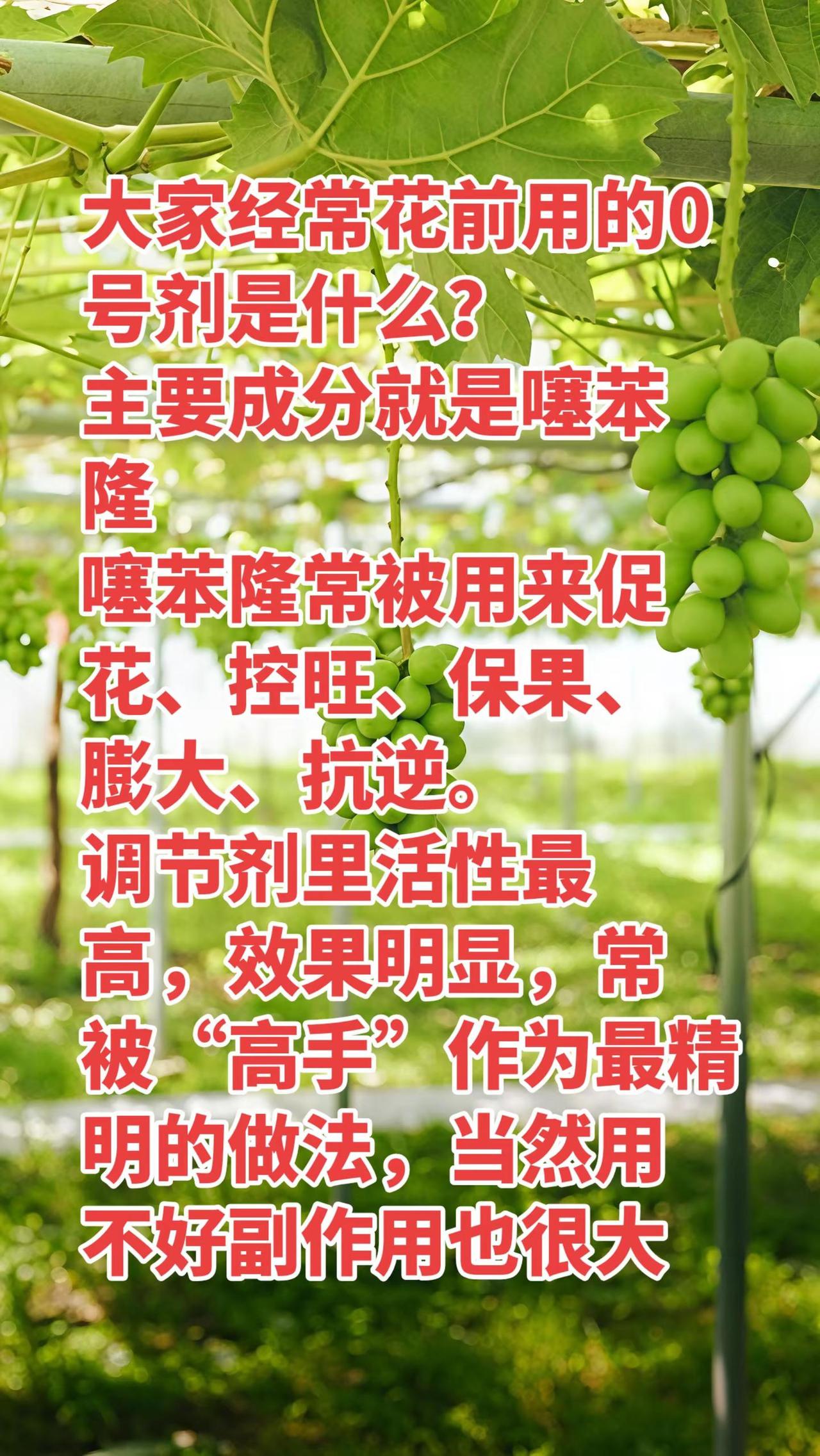 精明人的做法。对于很多人很神秘，最理智的人是点到为止。葡萄种植