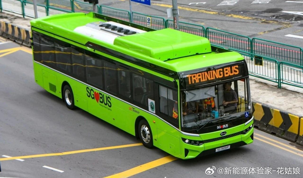 比亚迪获近20亿海外大单！新加坡砸5.75亿续购210台，比利时直接锁268台创