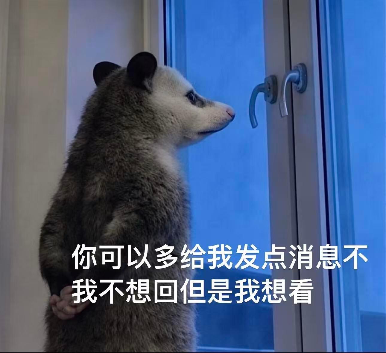 负鼠表情包创作真的没有瓶颈吗🤓