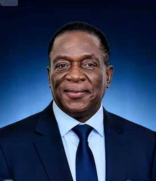 果然炸锅了，津巴布韦矿业部一纸禁令，全球锂市场瞬间炸开了锅。这个非洲南部国家突