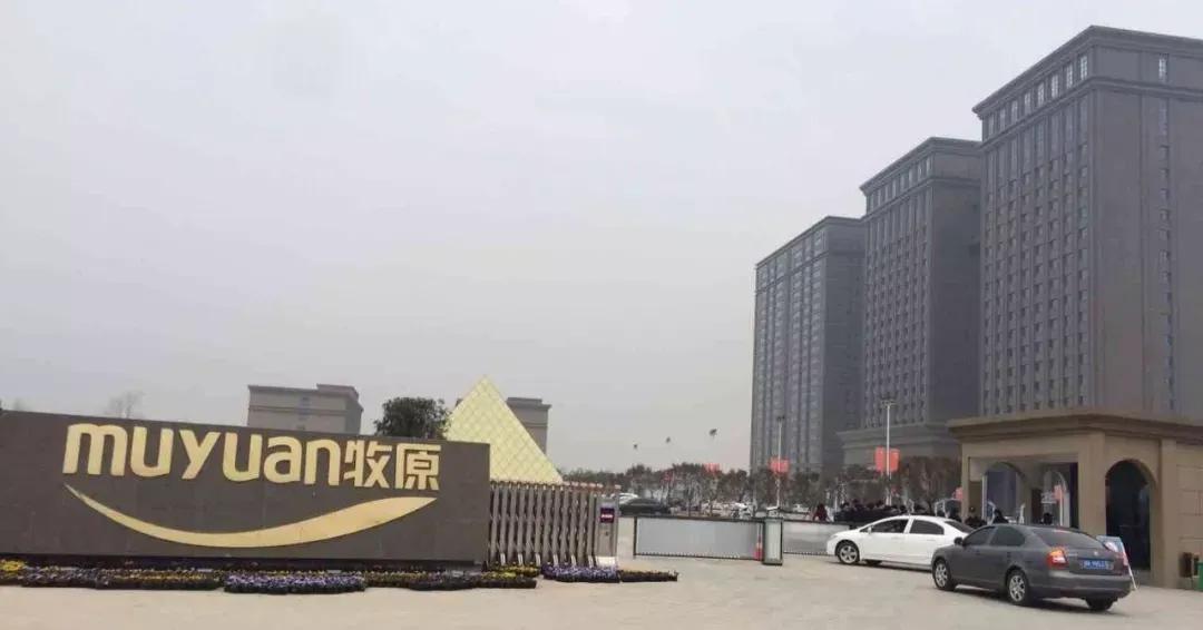 河南省首富：秦英林、钱瑛夫妇（牧原股份）一、核心财富数据（2026胡润全球富豪