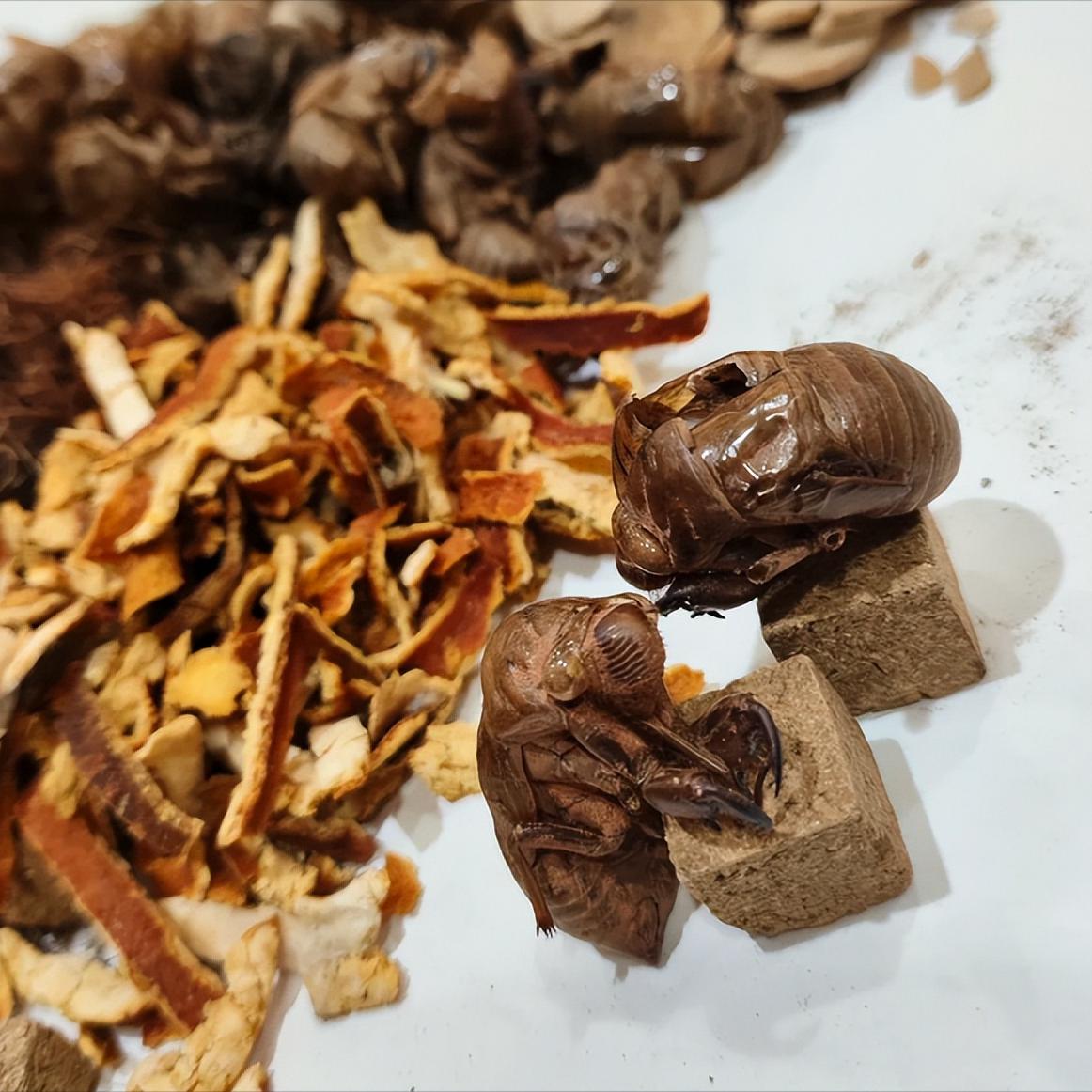 一张对付顽固性阳痿早泄的好方子，一定要收藏！今天给大家分享中医调理阳痿早泄