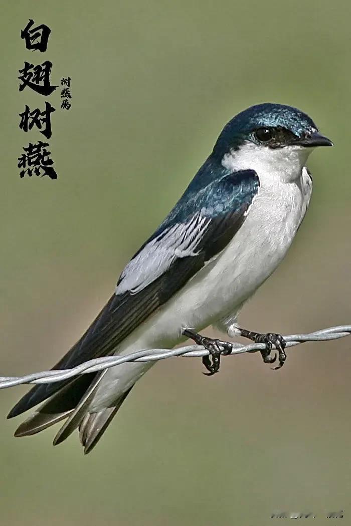 民生银行技术分析！民生银行在去年七月十日的最高价是5.68元，这一高价也就是