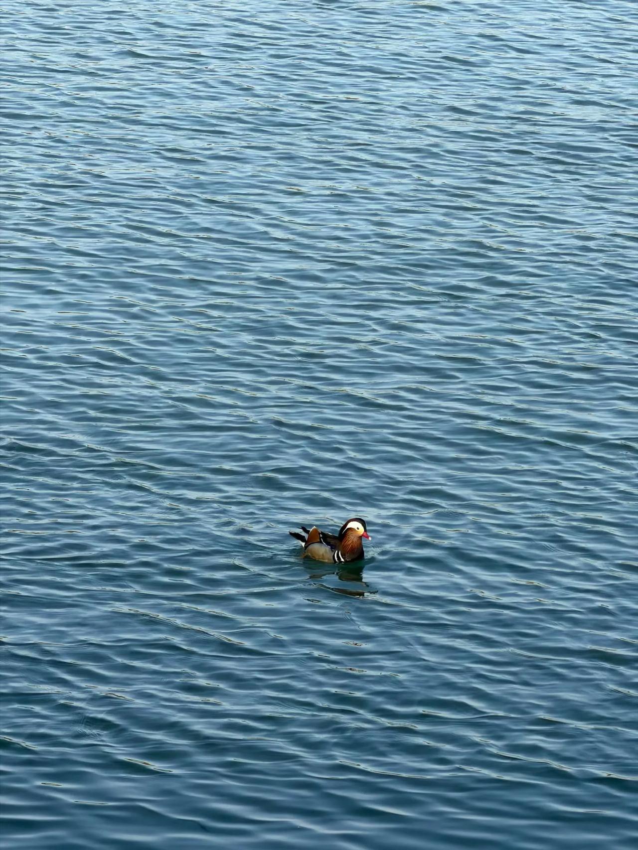 我堂哥今年55岁,农村有房有车，手里有20多万存款，长相也不差，父母都不在了，